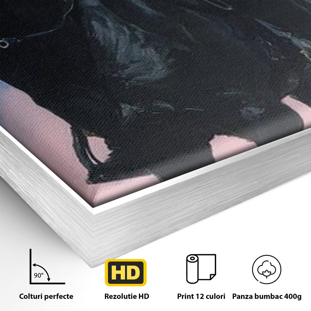 Detaliu al suprafetei: tablou canvas cu femeie calare pe armasar, in rama de aluminiu argintiu
